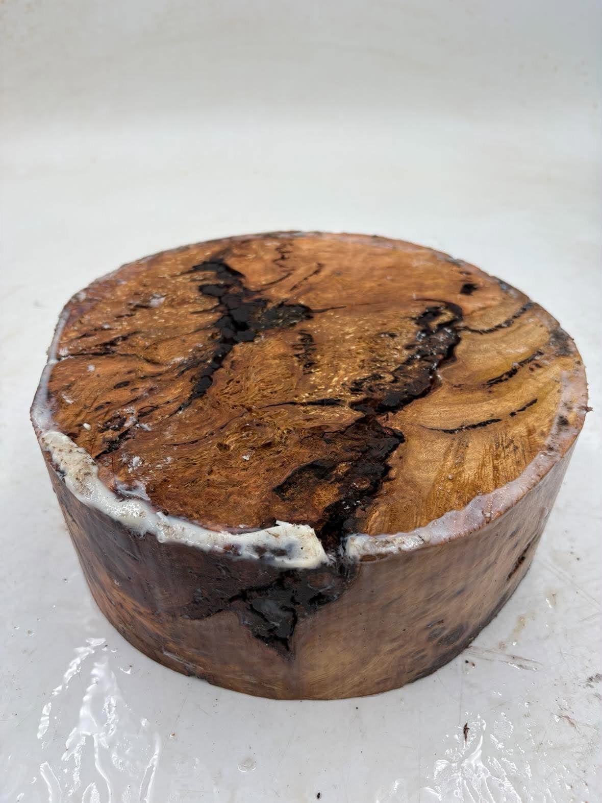 Manna Gum Burl Bowl Blank 220 x 85mm