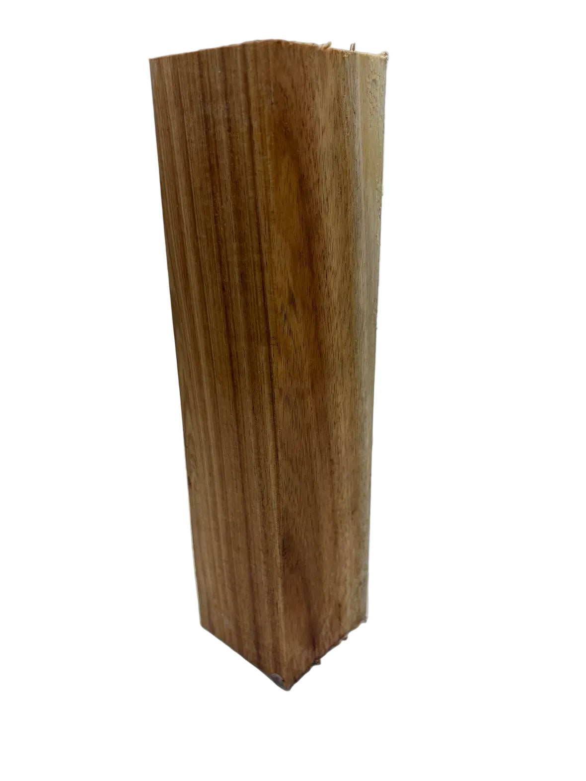 Silver Wattle Spindle 255 x 60 x 60mm