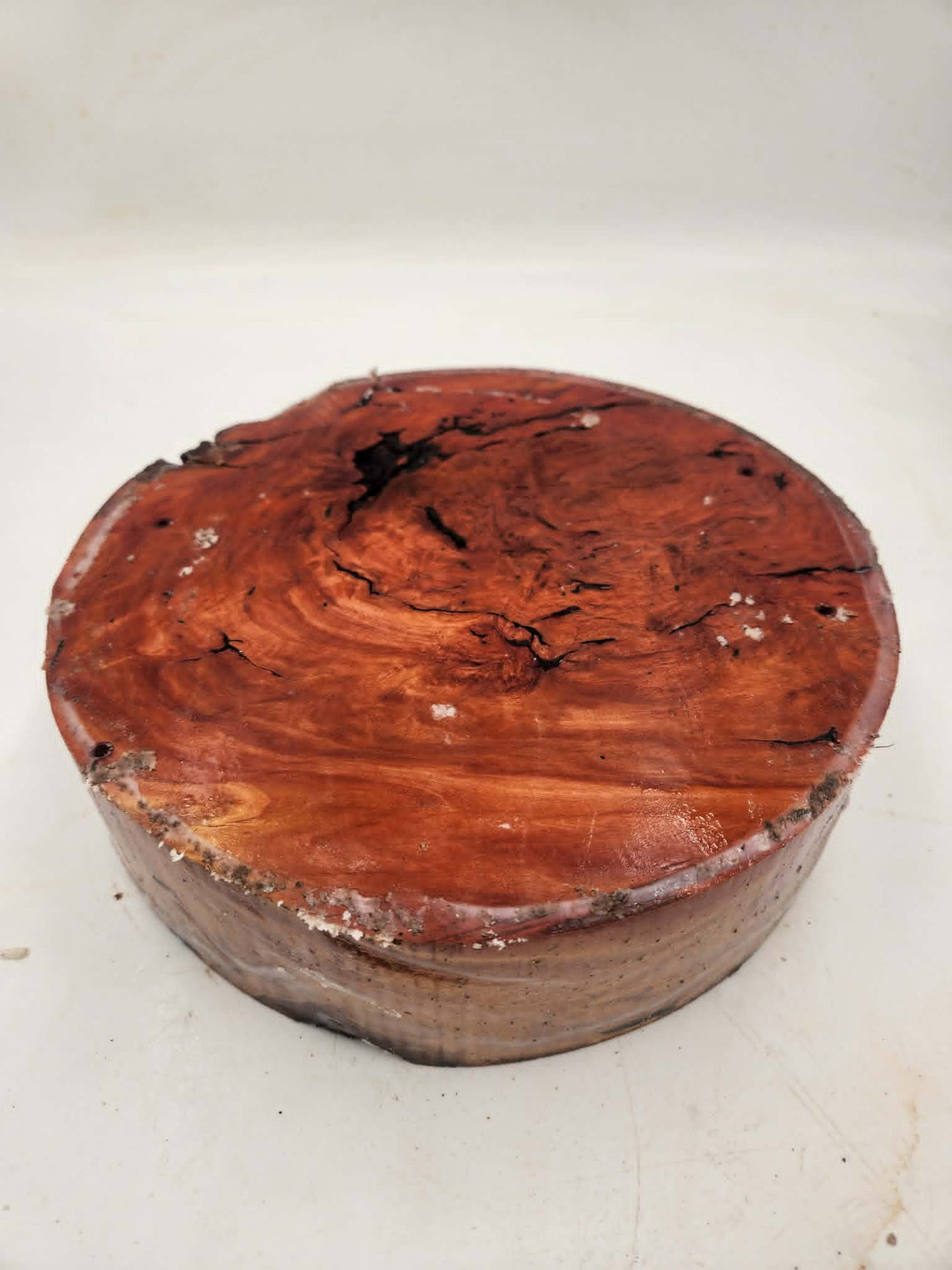 River Red Gum Burl Bowl Blank 260mmx70mm