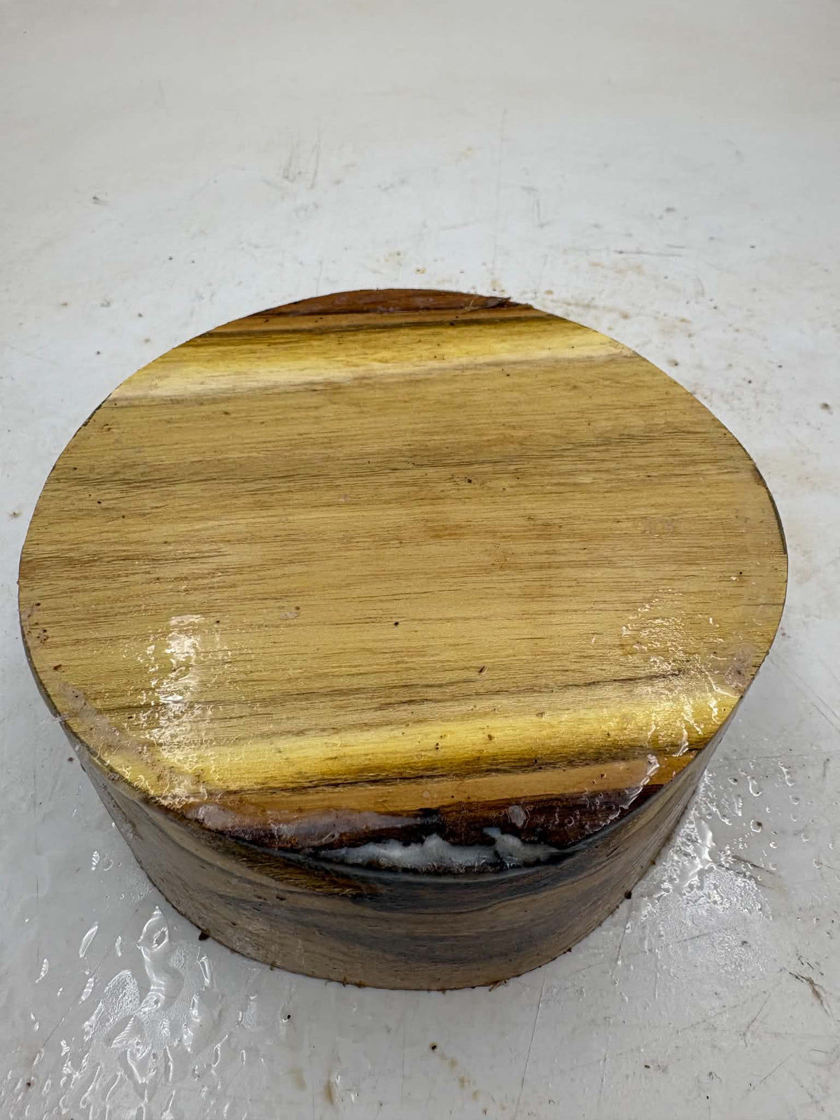 Black Locust Bowl Blank 150 x 70mm