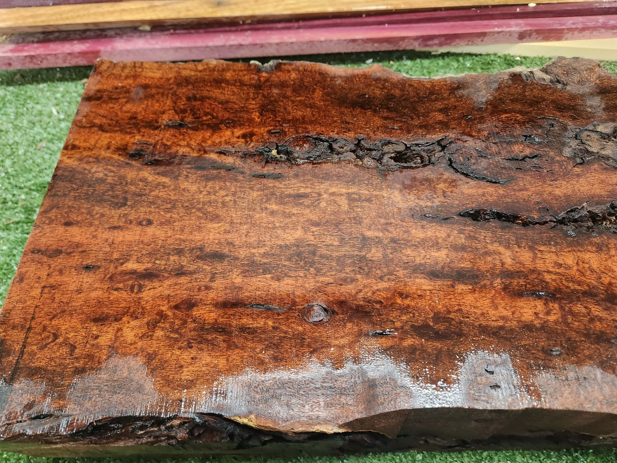 Tasmanian Blackwood Block 620mmx95mmx290mm