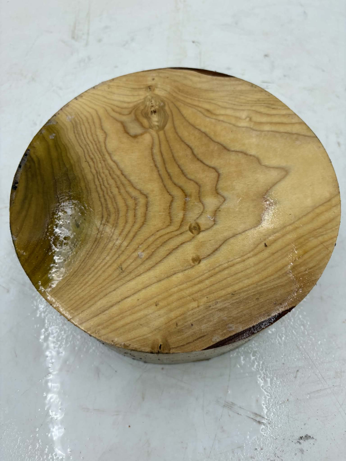 Tulipwood Bowl Blank 200 x 65mm
