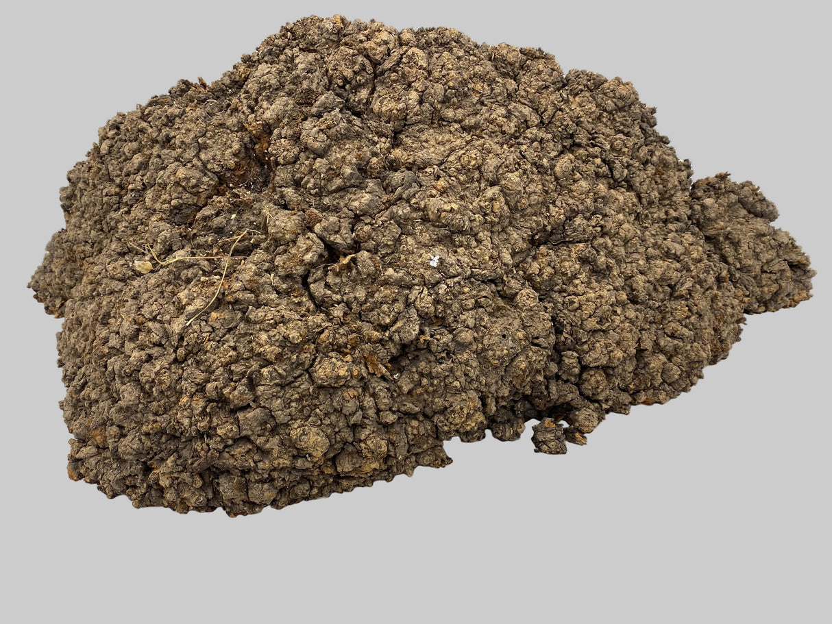 Desert Ash Burl (wet) 600 x 220 x 180mm