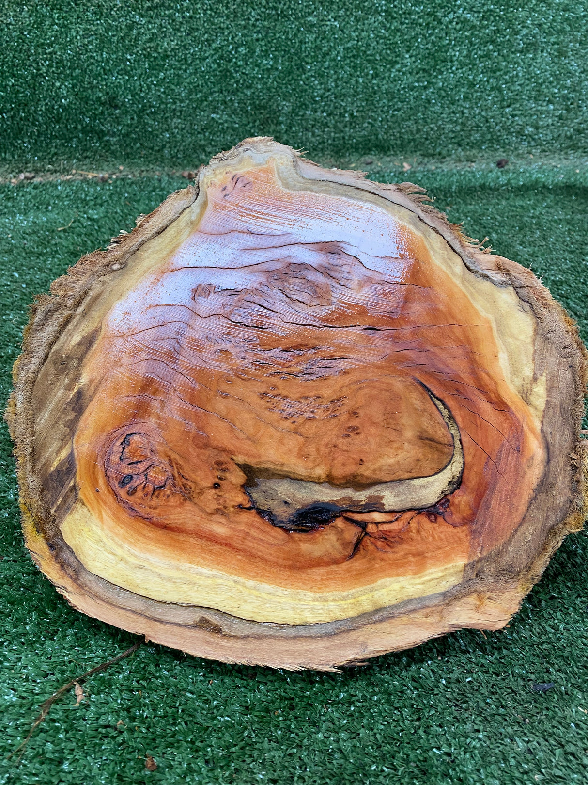 Red Gum Burl 290 x 260 x 60mm