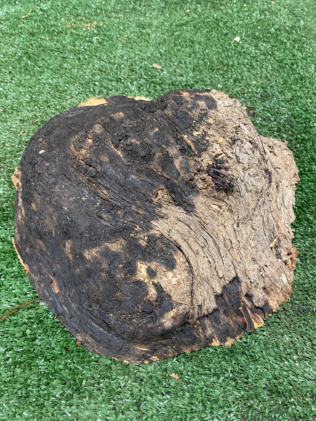 Red Gum Burl 290 x 260 x 60mm