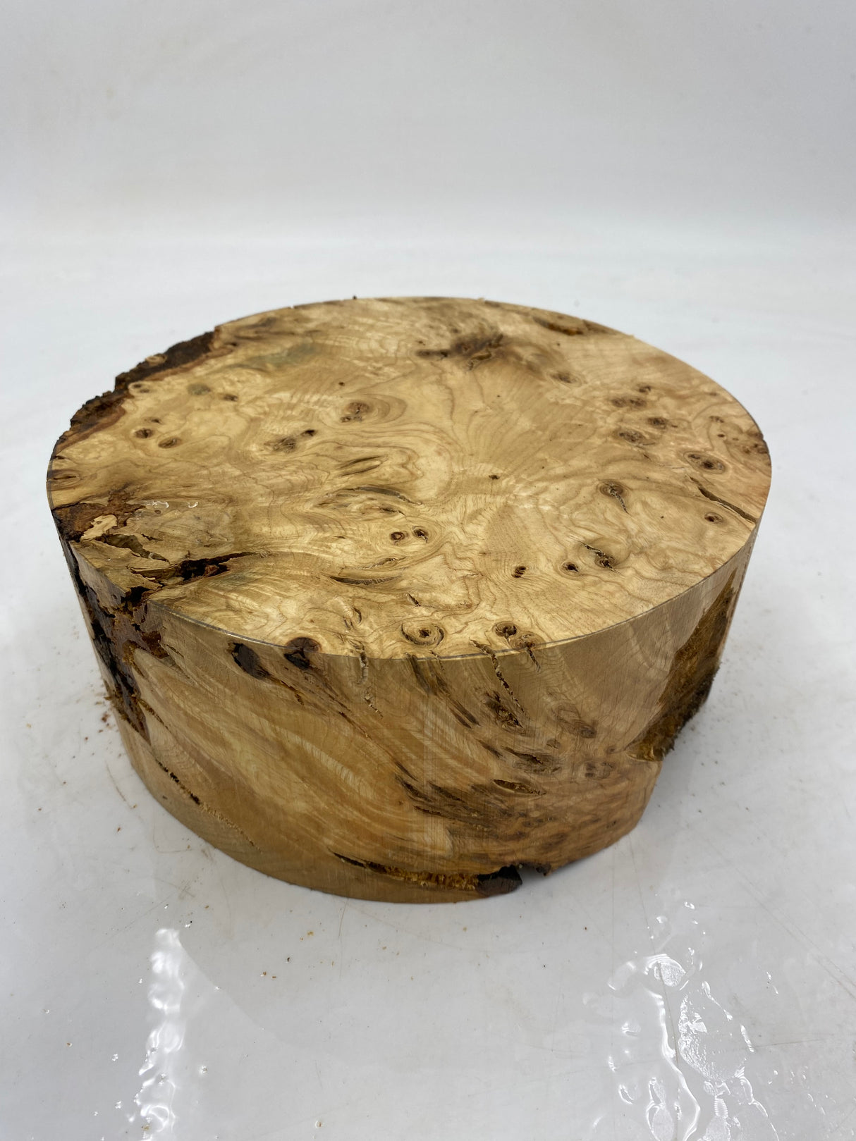 Desert Ash Burl (wet) 200 x 90mm