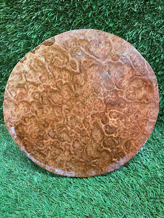 Red Mallee Burl 200 x 50mm