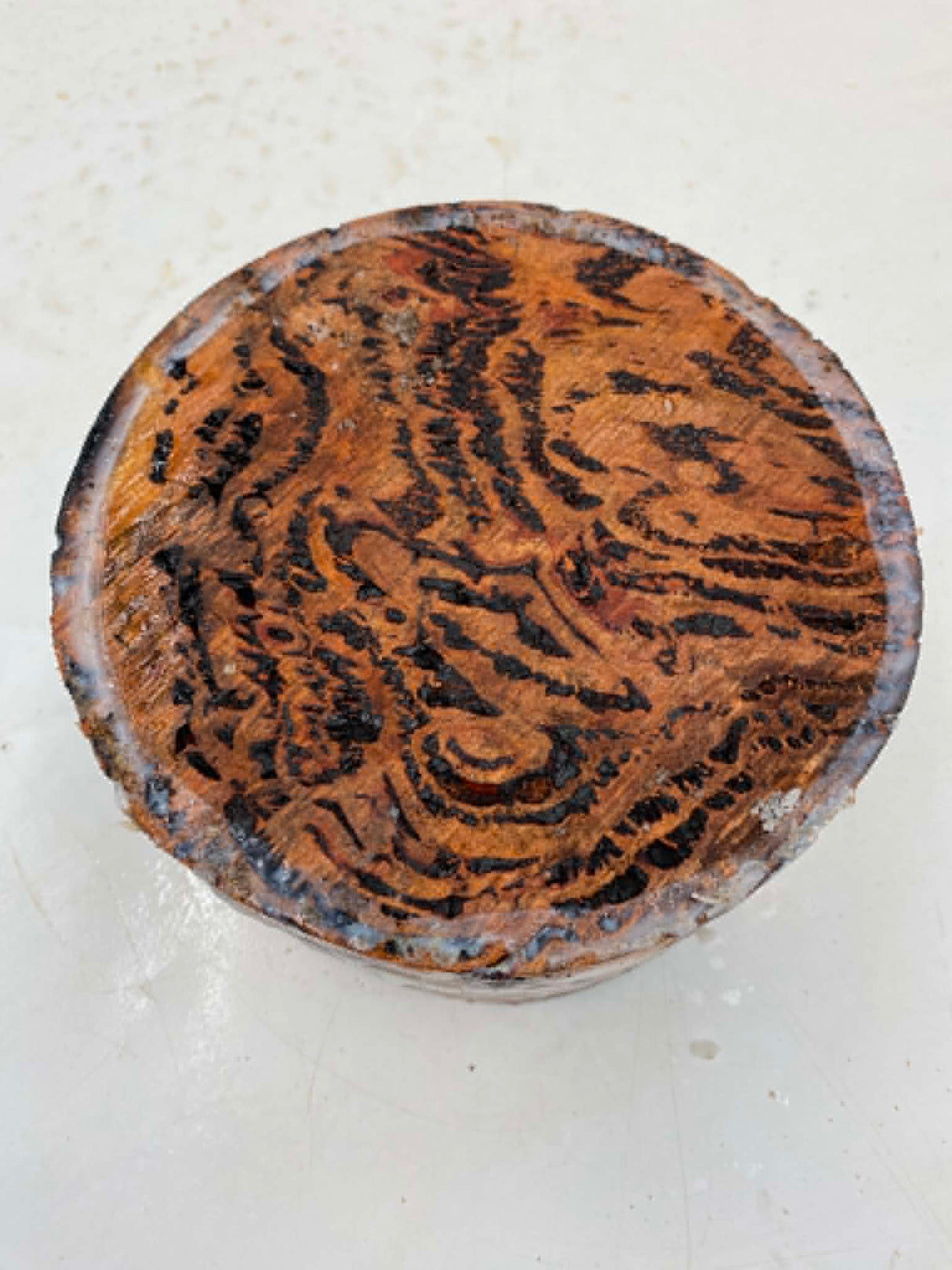 Forest Red Gum Burl Bowl Blank 150 x 90mm