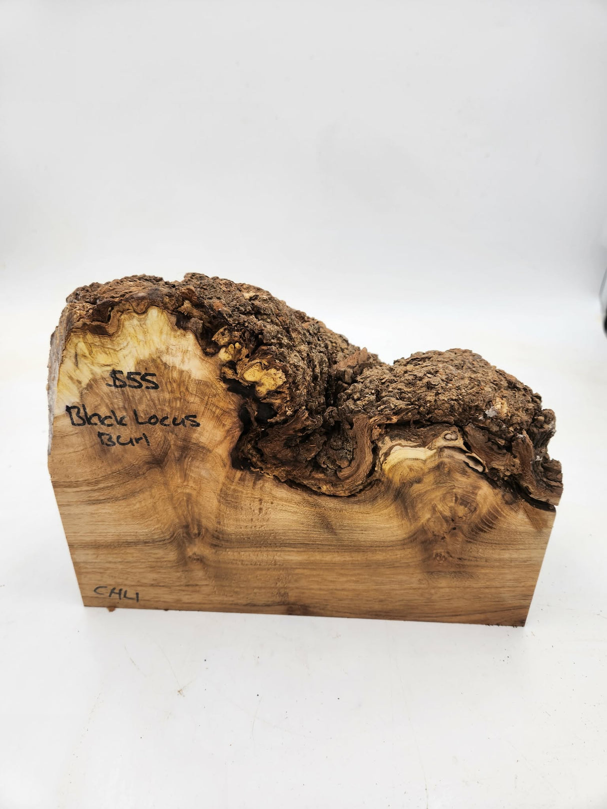 Black Locust Burl 260x80x150