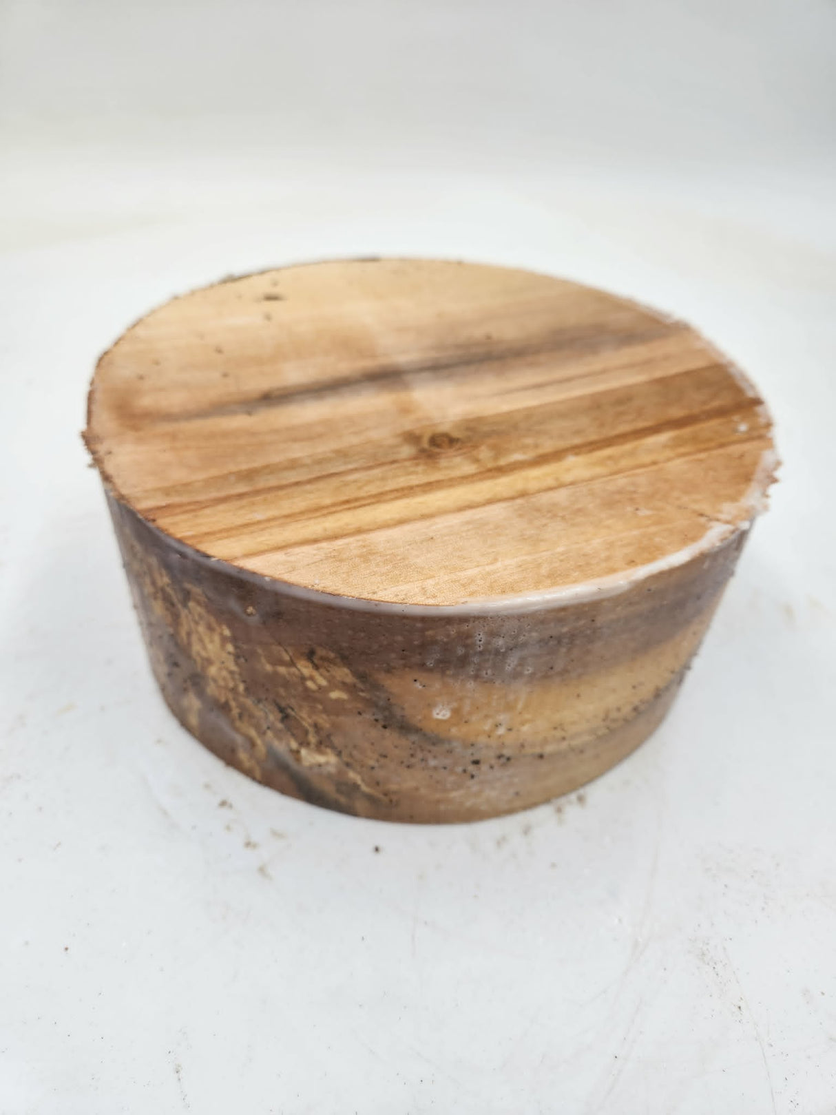 Silver Birch Bowl Blank 200mmx85mm