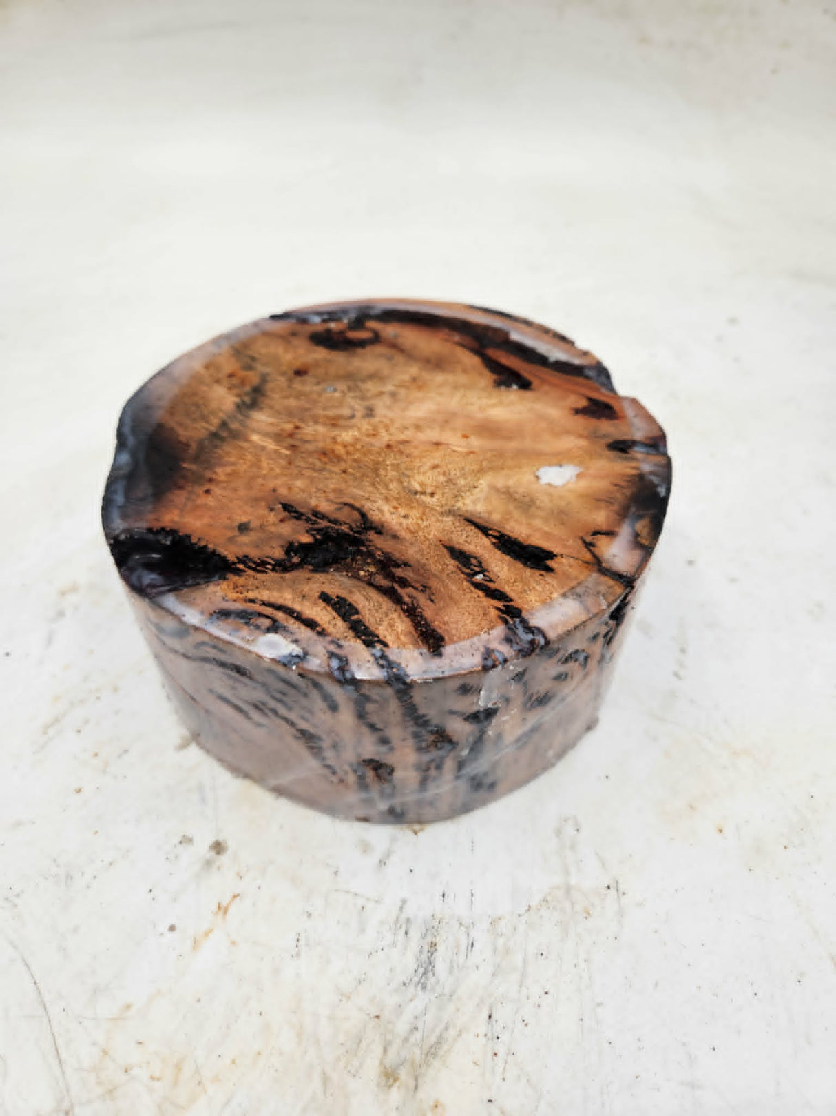 Forest Red Gum Burl Bowl Blank 150x150x70mm