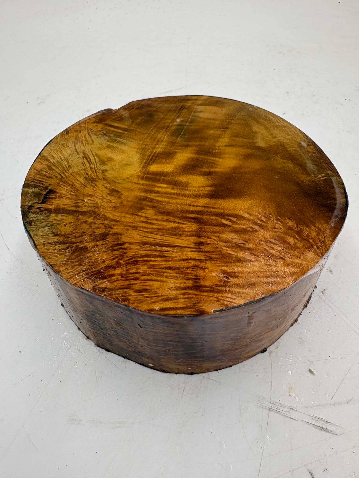 Musk Burl Bowl Blank 150 x 55mm