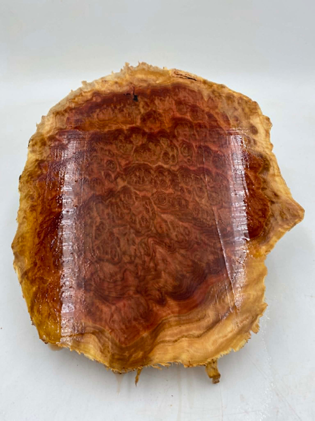 Red Mallee Burl 340 x 270 x 60mm