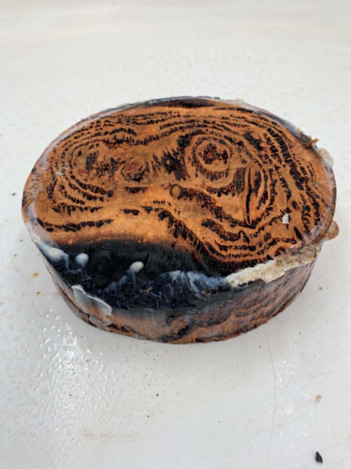Forest Red Gum Burl Bowl Blank 180 x 50mm