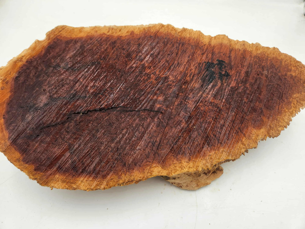 Red Mallee Burl 400mmx220mmx80mm