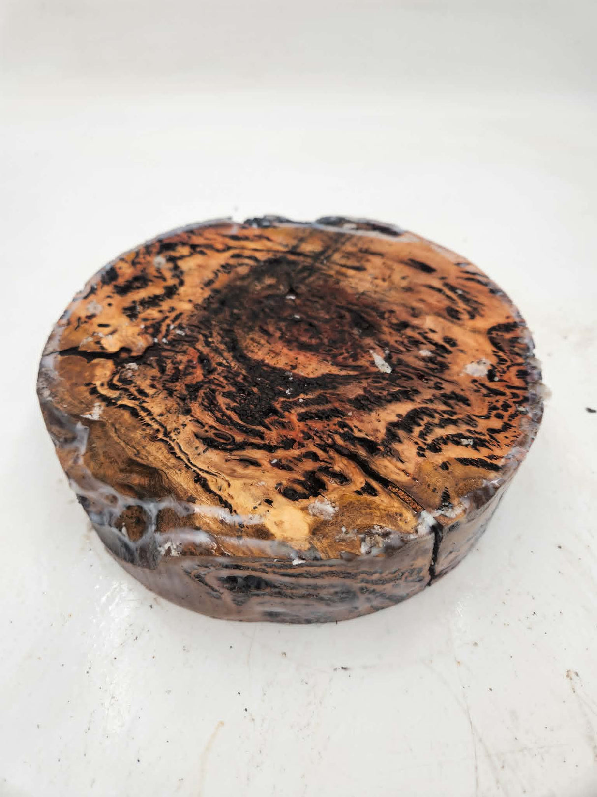 Forest Red Gum Burl Bowl Blank 220mmx60mm