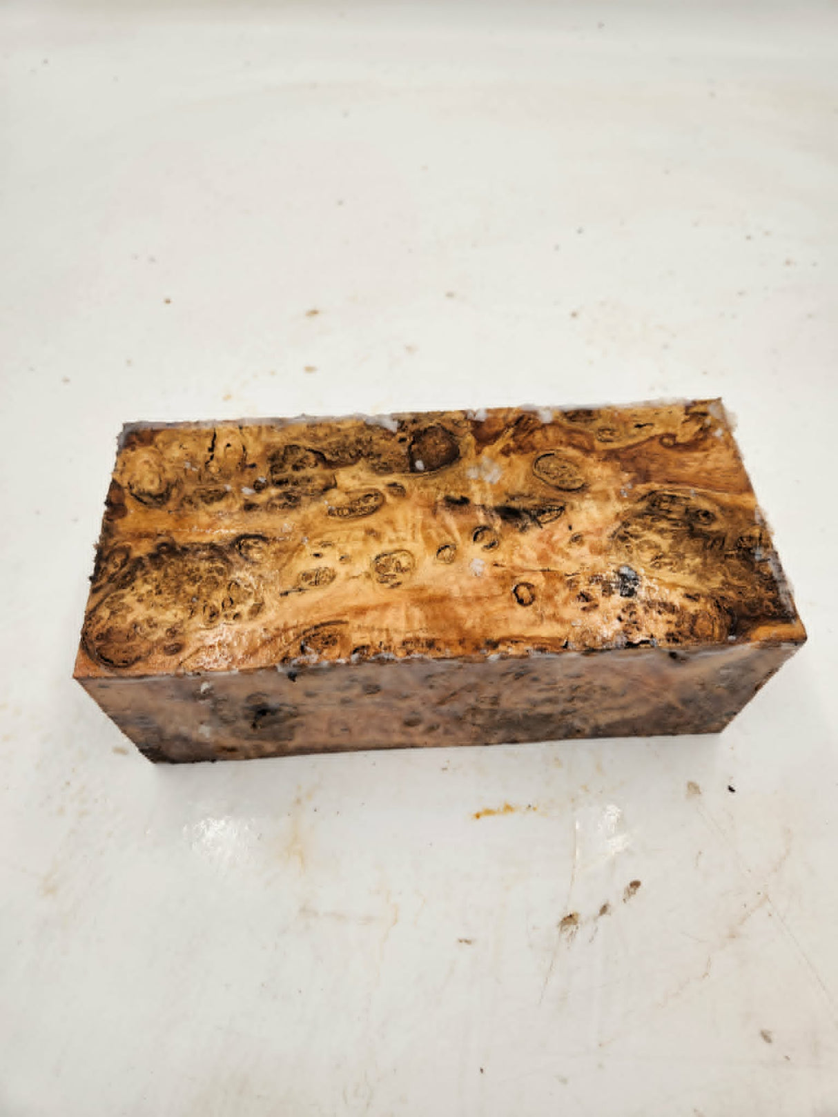 Forest Red Gum Burl Spindle 210 x 95 x 80mm