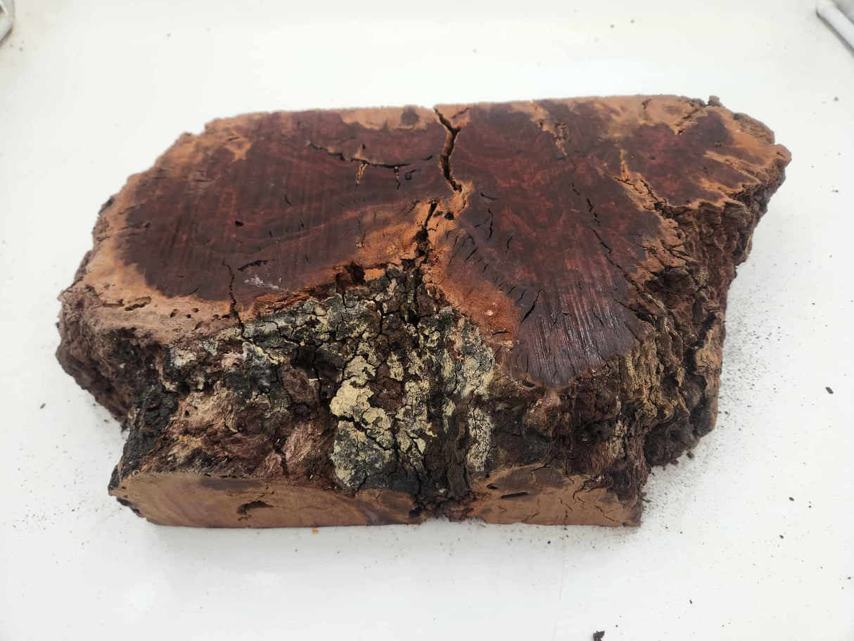 Red Gum Burl Block 330x200x70