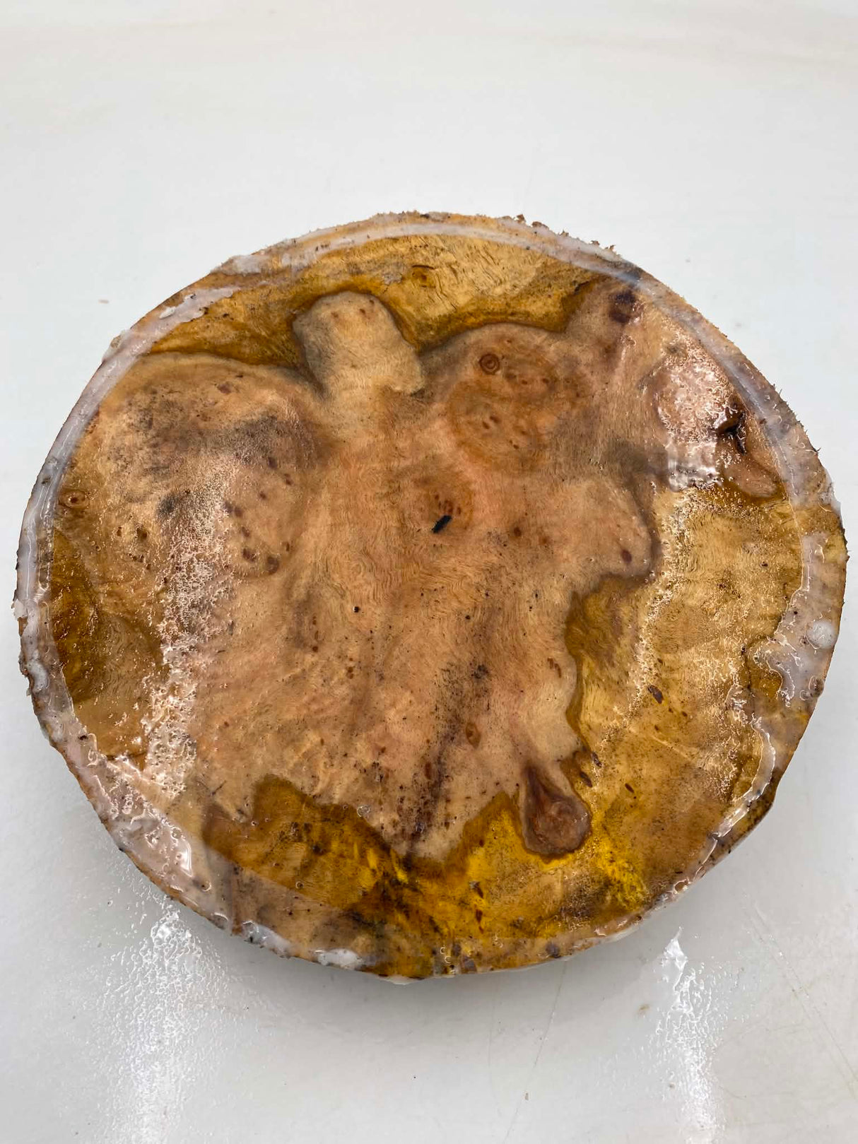 River Red Gum Burl Bowl Blank 200 x 35mm
