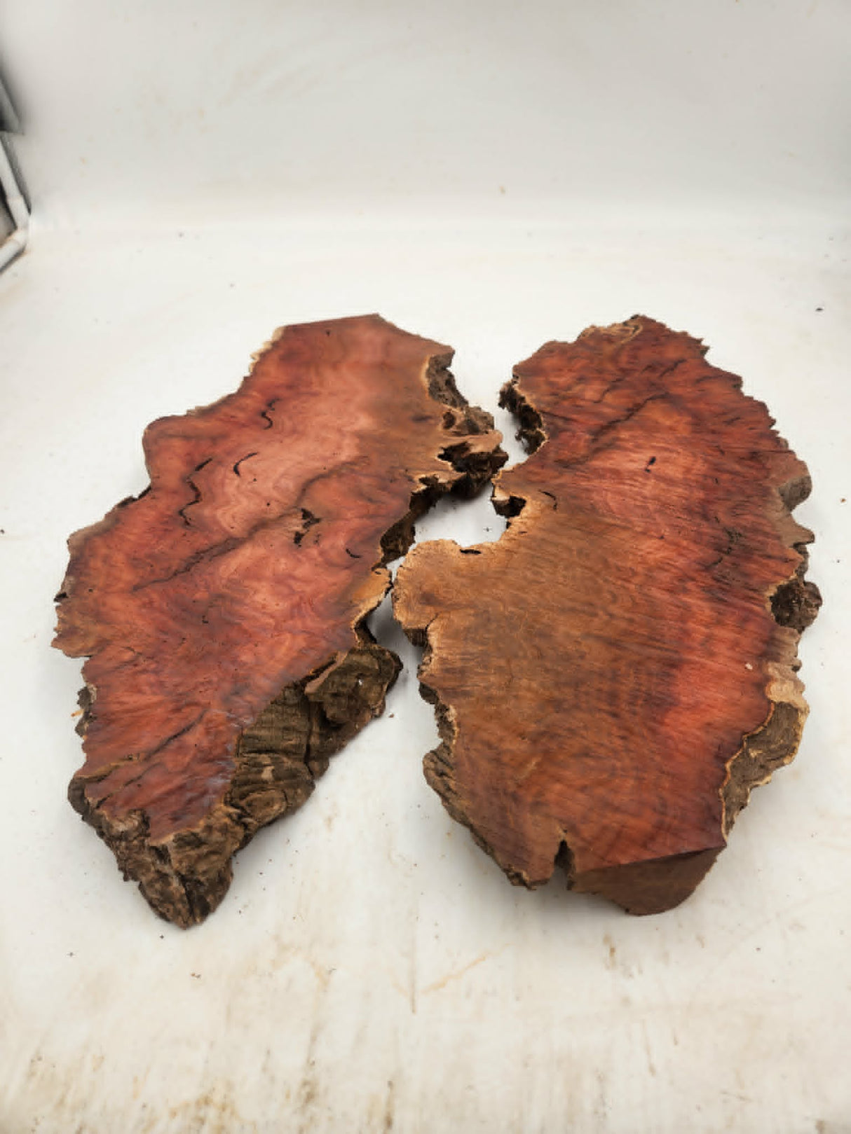 Myrtle Burl Pair (2) 400 x 170 x 35mm