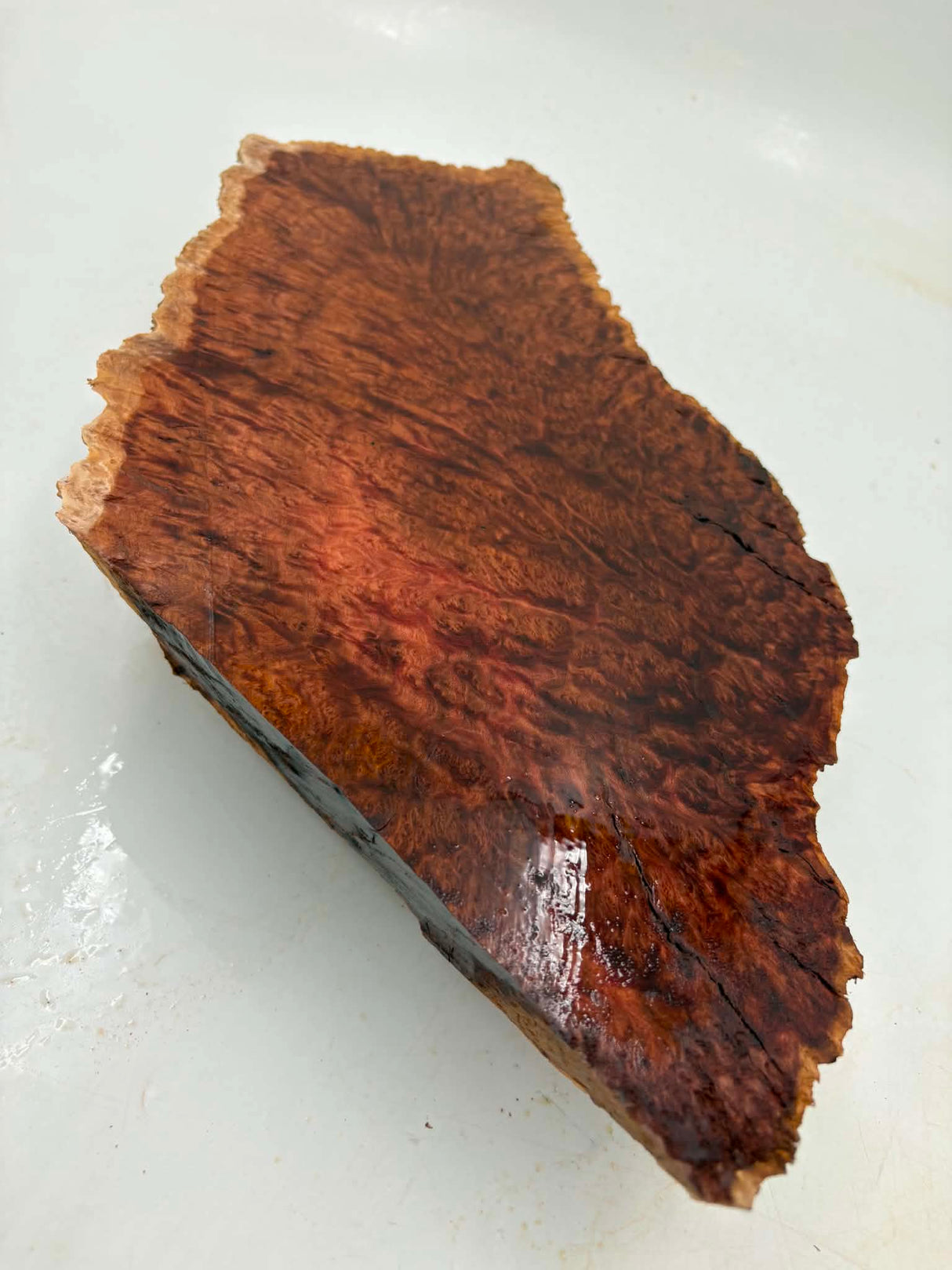 Red Mallee Burl 220 x 190 x 60mm