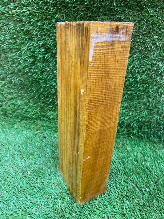 New Guinea Spindle 250 x 80 x 50mm