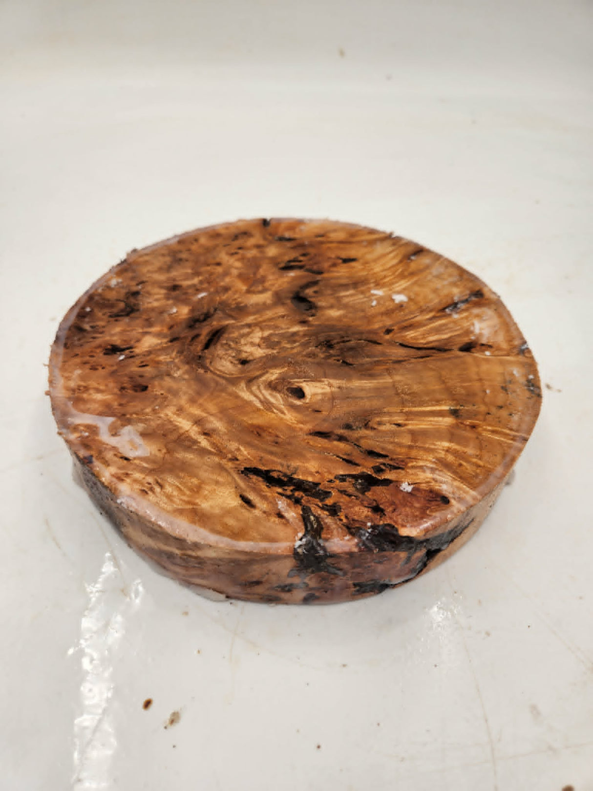 Desert Ash Burl Bowl Blank 200 x 40mm