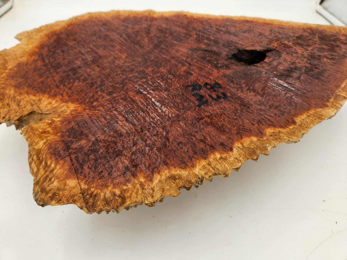 Red Mallee Burl 450mmx290mmx70mm