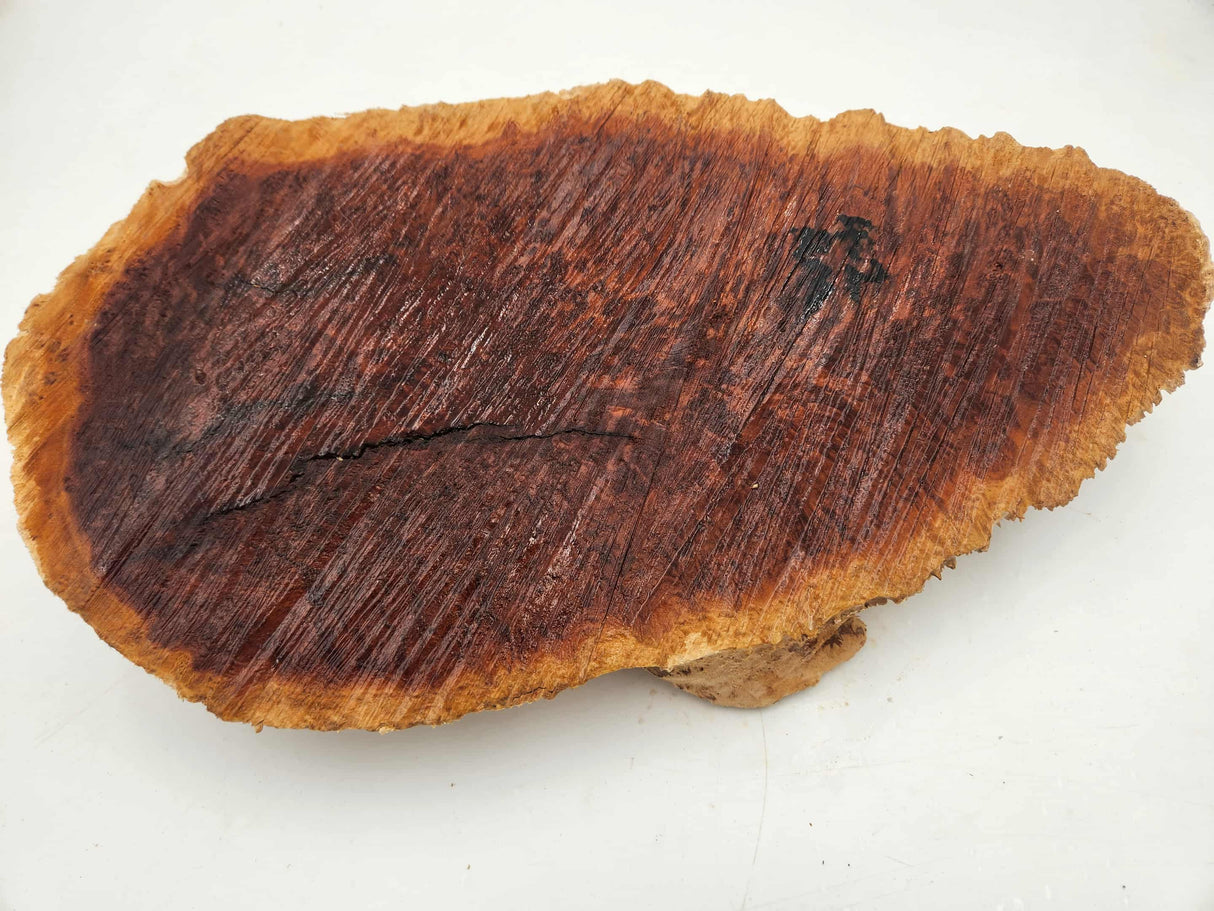 Red Mallee Burl 400mmx220mmx80mm
