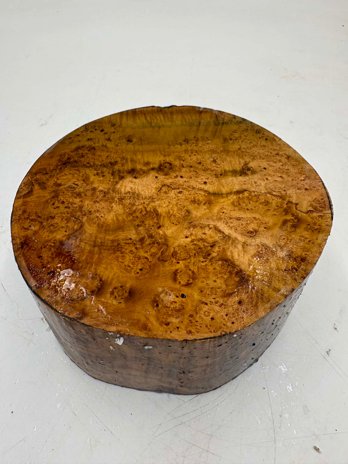Musk Burl Bowl Blank 150 x 65mm