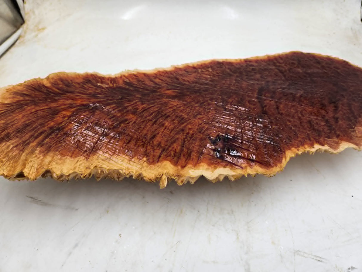 Red Mallee Burl 550x220x50mm