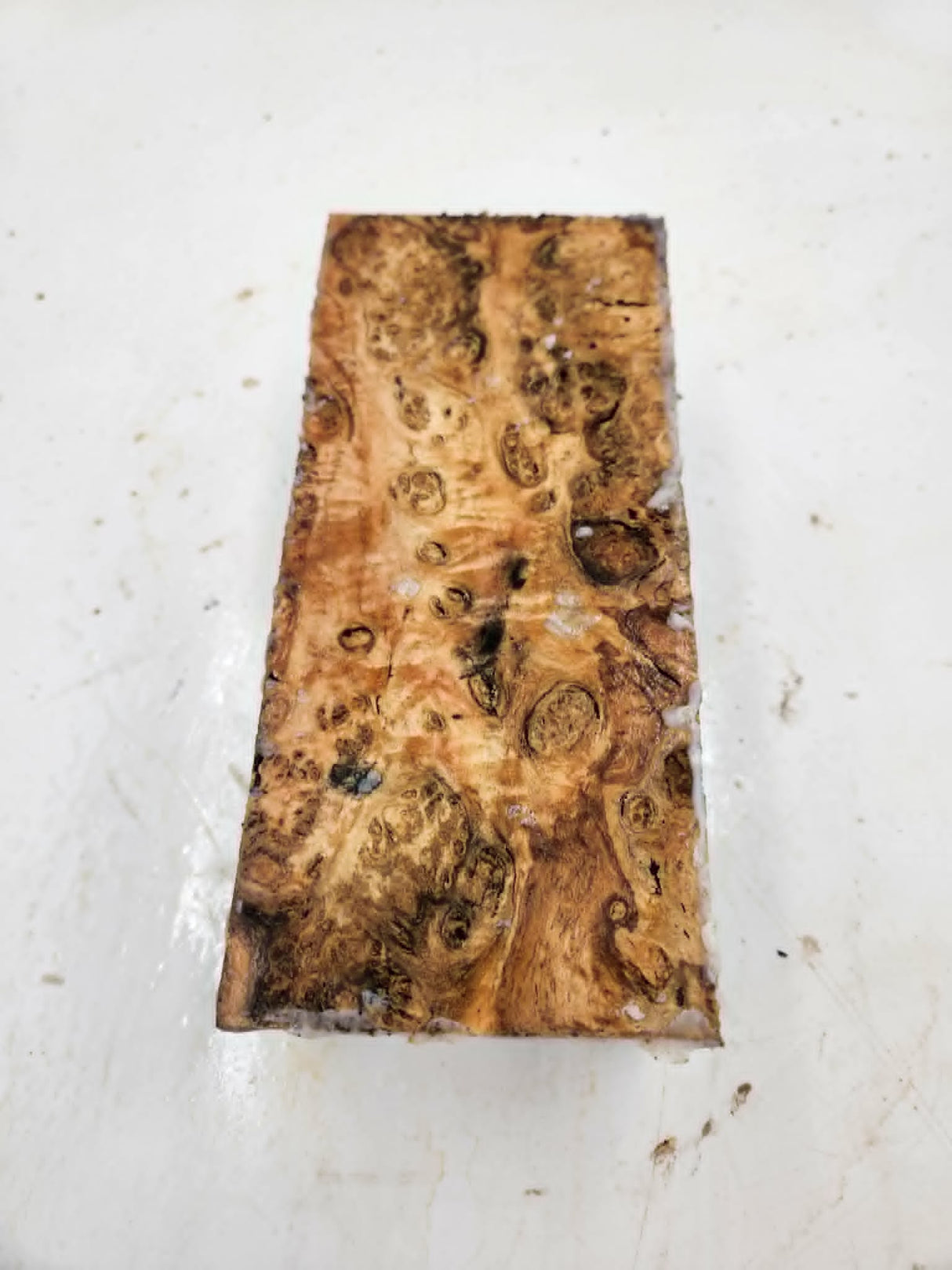 Forest Red Gum Burl Spindle 210 x 95 x 80mm