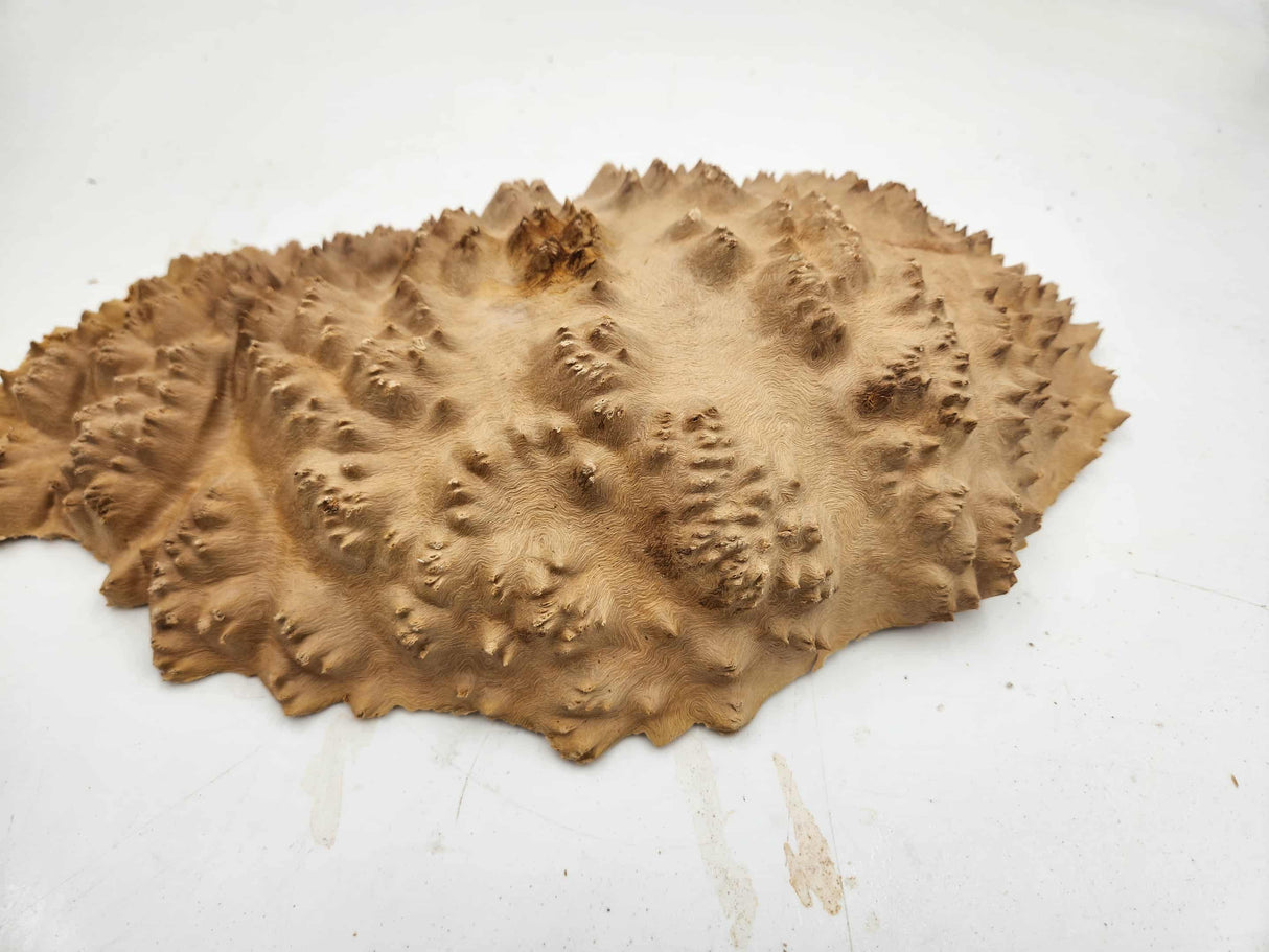 Red Mallee Burl 300mmx180mmx55mm