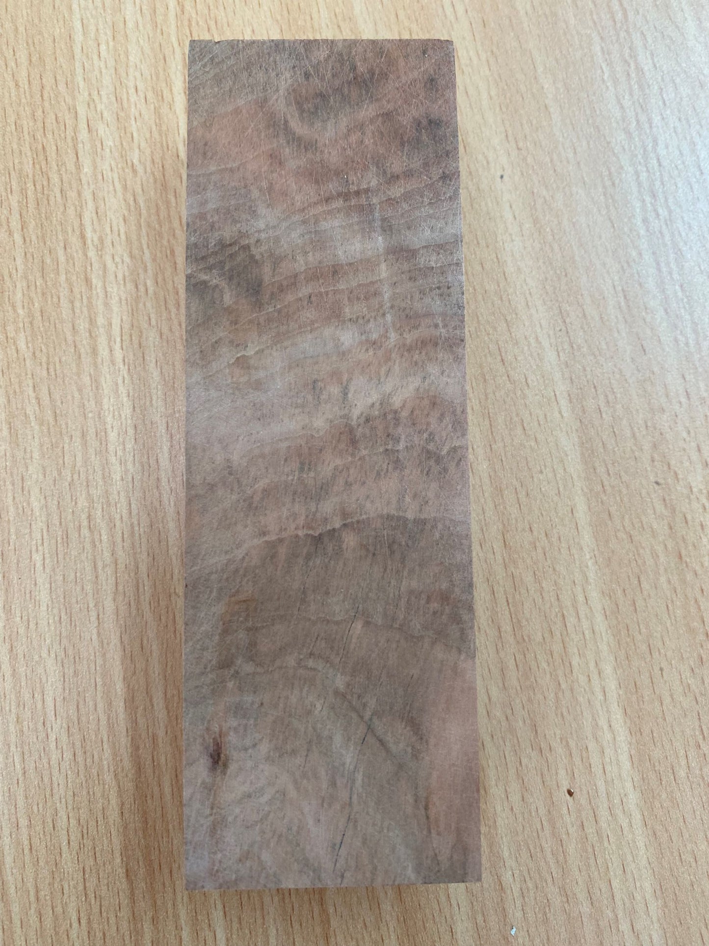 Tasmanian Myrtle Knife Blank