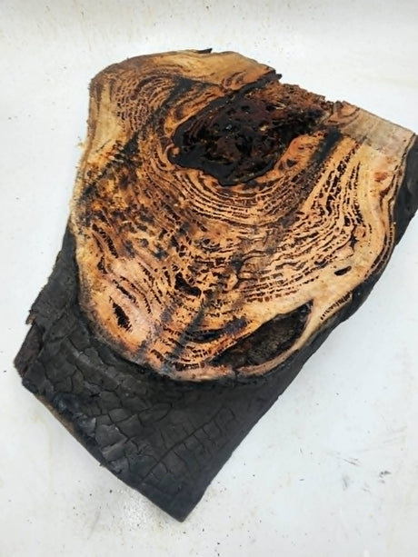 Forest Red Gum Burl 400x300x90mm