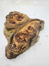 Forest Red Gum Burl 250x290x70mm