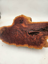 Red Mallee Burl 500x240x100mm