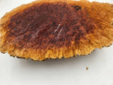 Red Mallee Burl 400mmx280mmx60mm