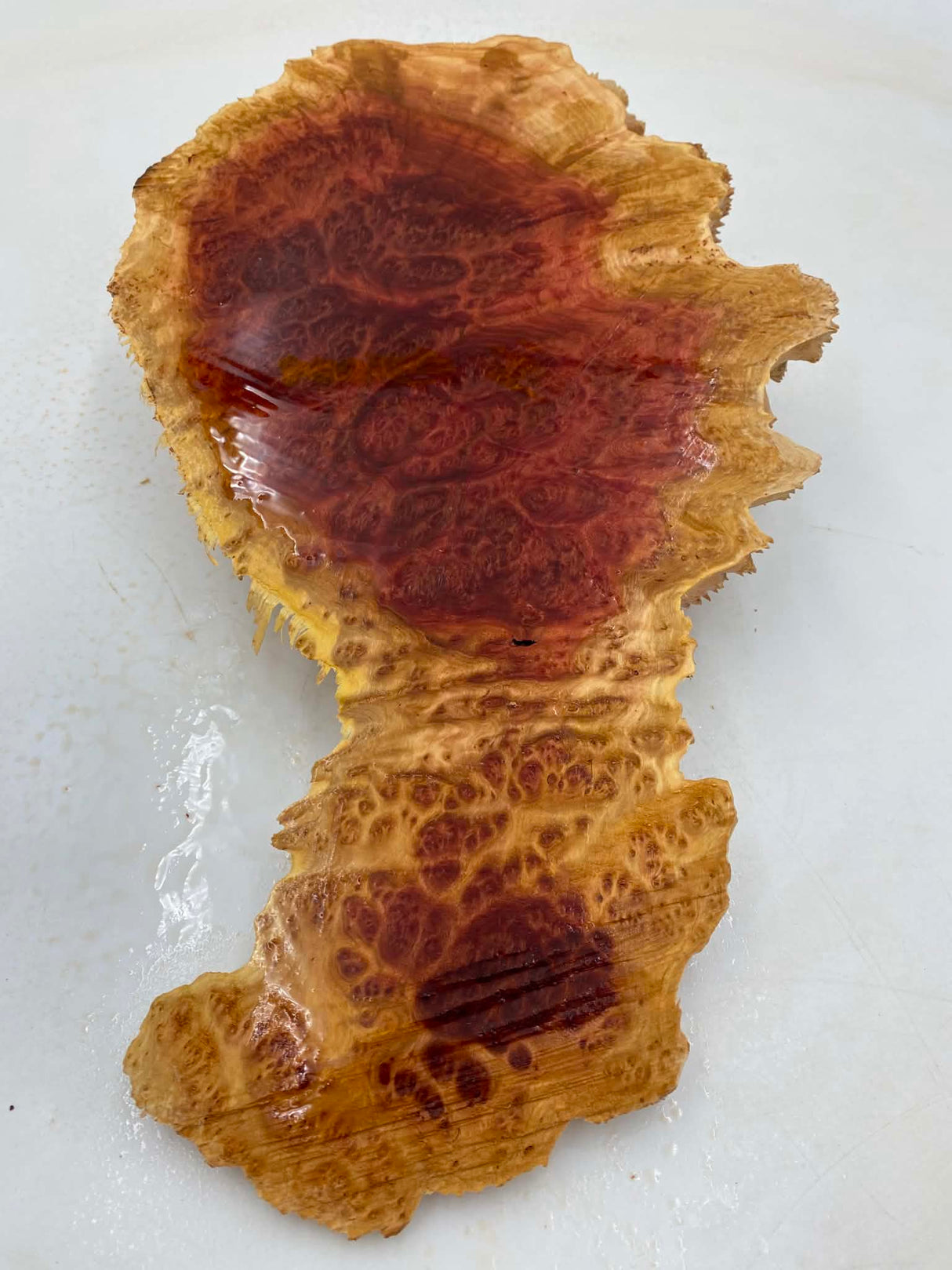 Red Mallee Burl 400 x 200 x 60mm