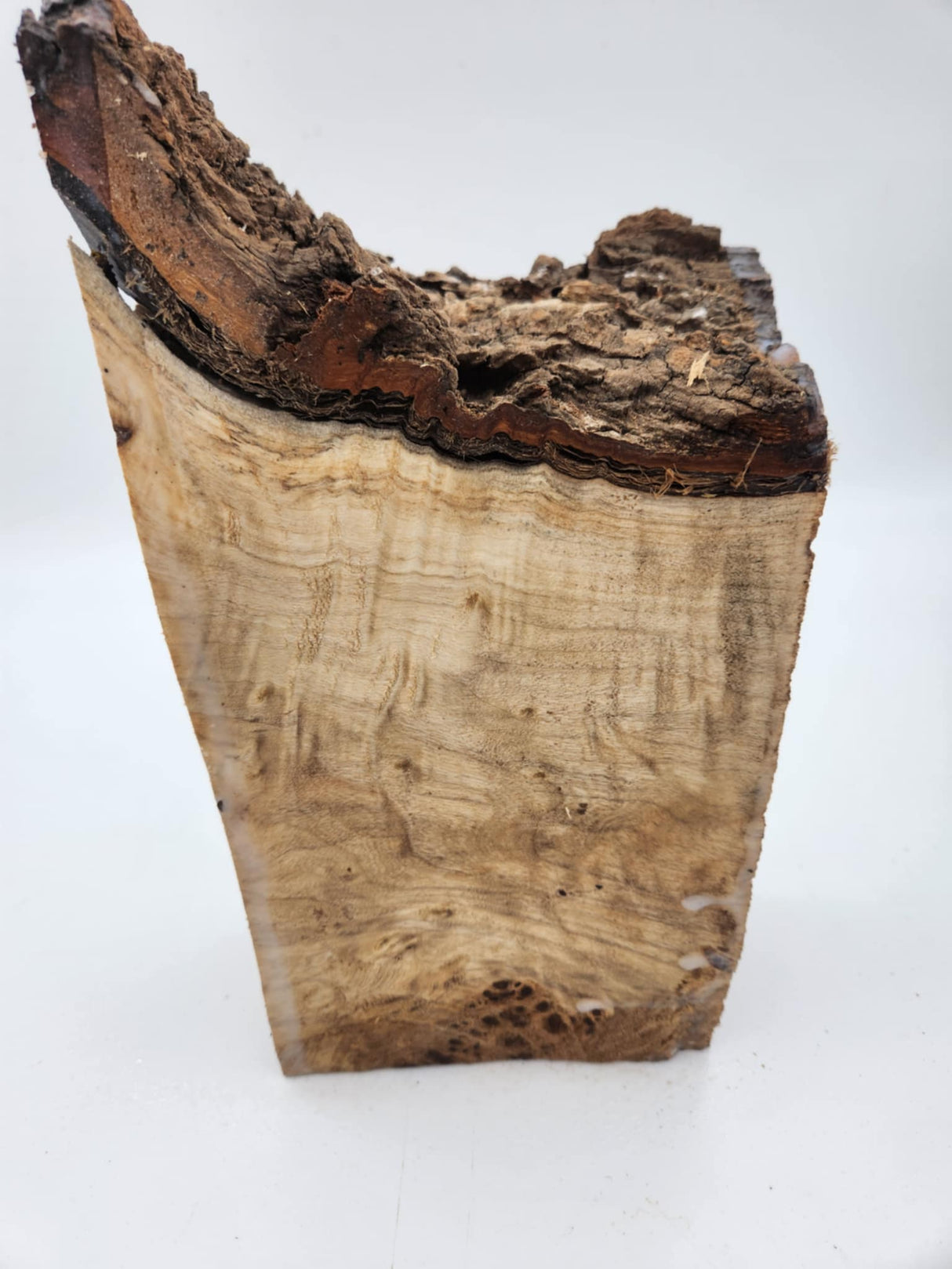 Poplar Burl Block 180mmx120mmx70mm