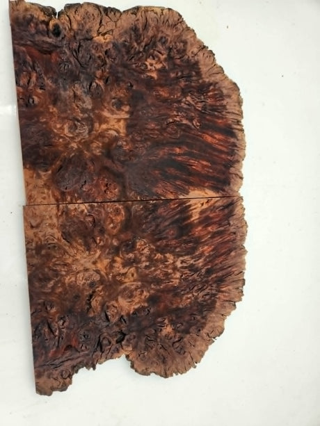 Red Box Burl Slice Booked Matched 220mmx150mmx13mm