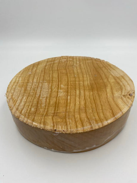 Claret Ash Bowl Blank 200 x 50mm