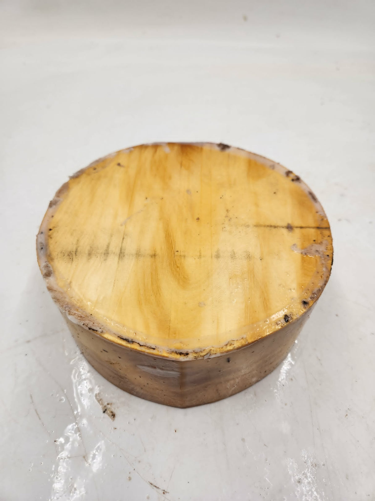 Huon Pine Bowl Blank 150 x 70mm