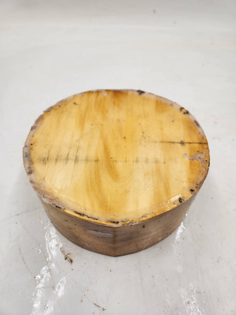Huon Pine Bowl Blank 150 x 70mm
