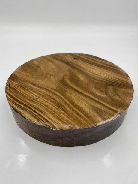 Zebrawood (Zebrali) Bowl Blank 260 x 50mm