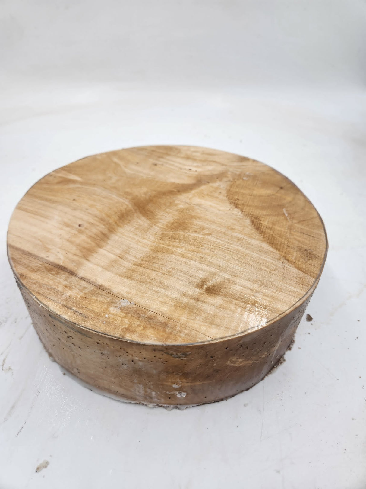 Silver Birch 260mmx260mmx80mm