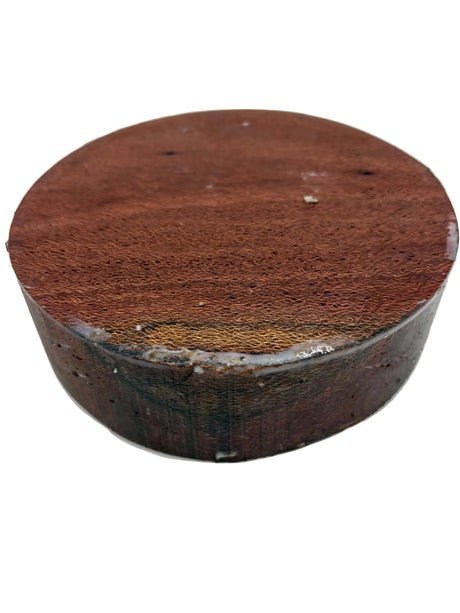 Banksia Bowl Blank 200 x 50mm