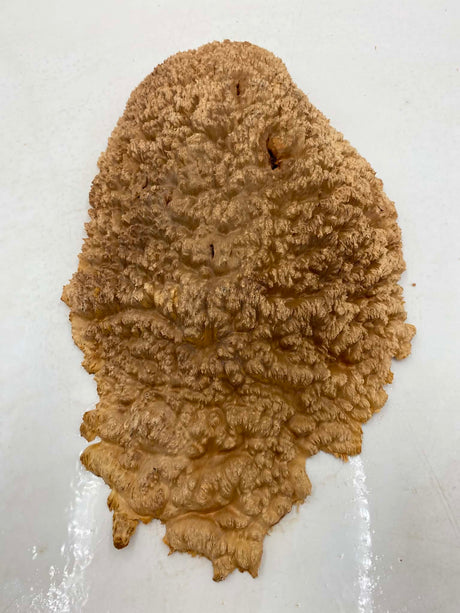 Red Mallee Burl 370 x 220 x 40mm