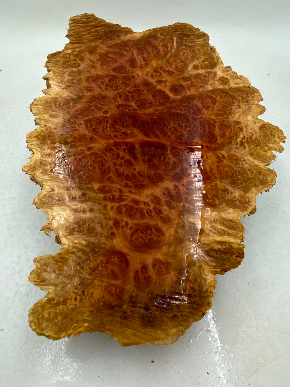 Red Mallee Burl 410 x 290 x 100mm