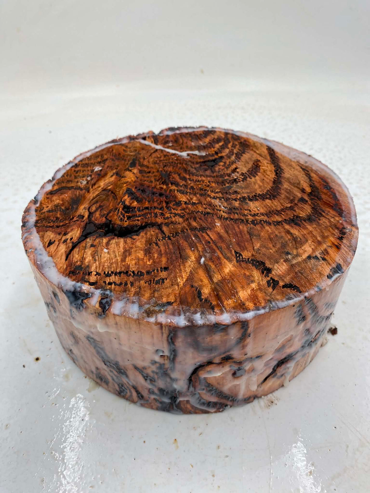 Forest Red Gum Burl Bowl Blank 200 x 80mm